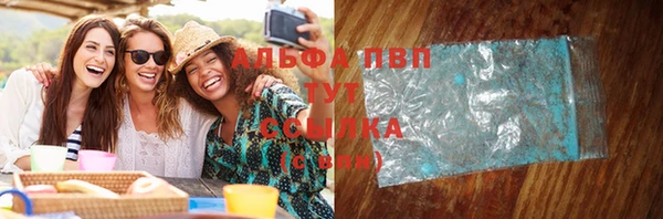 прущие грибы Волосово