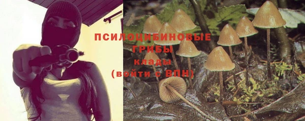 СК Верея