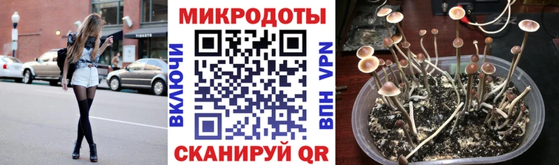 Галлюциногенные грибы ЛСД  Купить закладки  Сельцо 